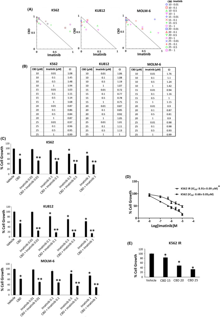 CBD and imatinib synergize in reducing cell viability. A, Isobologram plots for combination treatments of CBD and imatinib. Lower left of the hypotenuse, synergism; hypotenuse, additive effect; upper right of the hypotenuse, antagonism. Data are representative of three experiments. B, CI values by CompuSyn software. Data are representative of three experiments. C, Cell viability assay in CML cells treated with CBD at IC50 dose and imatinib at different doses for 24 h. Data are the mean ± SD of three experiments. *P < .01 vs vehicle; **P < .01 vs CBD or imatinib. D, Cell viability assay performed in K562 IR or K562 cells treated with imatinib or vehicle. *P < .01 vs K562 cells. E, Cell viability assay in K562 IR treated with CBD at IC50 doses for 24 h. Data are the mean ± SD of three experiments. *P < .01 vs vehicle
