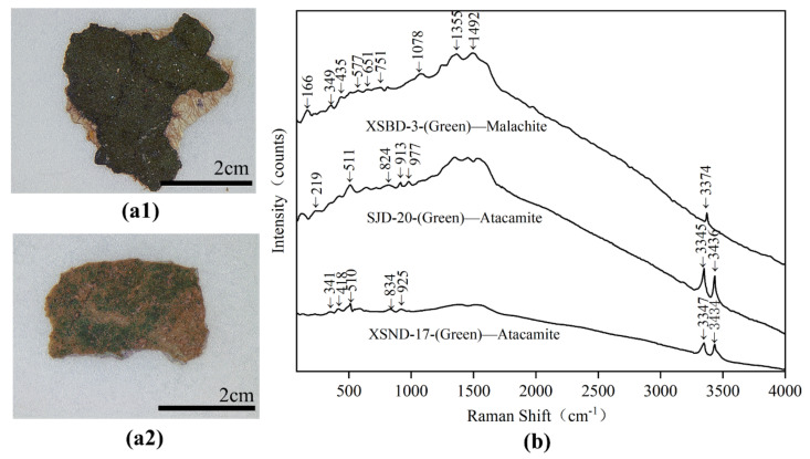 Digital microscopy (DM) of green samples (a1) XSND-17; (a2) XSBD-3 and Micro-Raman spectroscopy (b) XSBD-3; SJD-20 and XSND-17.