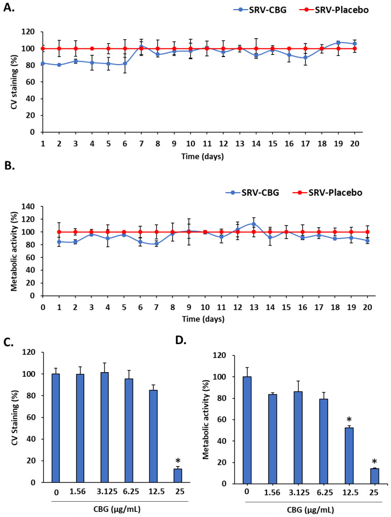 Biocompatibility assay on Vero epithelial cells. (A,B) Vero cell monolayer was exposed for 24 h to the daily collected DMEM-conditioned medium from SRV-CBG- and SRV-placebo-coated meshes for a period of 20 days. At the end of incubation, the cells were visualized under a light microscope and stained with CV for measuring the total cell mass (A) or exposed to MTT to measure the metabolic activity (B). n = 3. (C,D) Vero cell monolayer was incubated in the absence or presence of increasing concentrations of CBG (0–25 µg/mL) for 24 h and then either stained with CV for measuring their total cell mass (C) or MTT for measuring their metabolic activity (D). n = 3 * p < 0.05 in comparison to control (no CBG), according to Student’s t-test.
