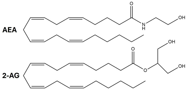 Chemical structures of AEA (anandamide) and 2-AG (2-arachidonoylglycerol).
