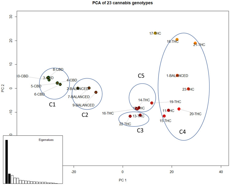 Scatter plot of 23 cannabis strains on PC1 & PC2 using 344 structural SNPs.Clusters indicated as C1, C2, C3, C4 and C5 correspond to I-SNPs in Table 1.
