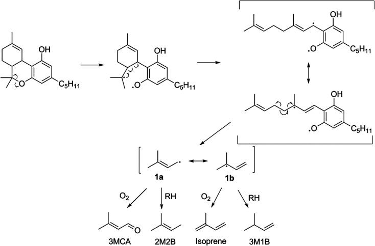 The proposed reaction scheme for a major thermal degradation pathway of THC which accounts for 22 ± 6% of VOCT when THC is vaporized alone in a CEC at 10 W, and 18 ± 4% of VOCT when THC is vaporized alone by dabbing at 370 °C.