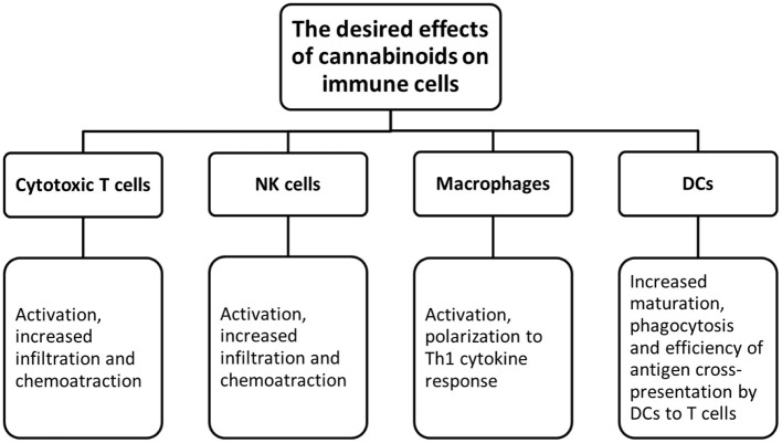 The desired effects of cannabinoids on immune cells.