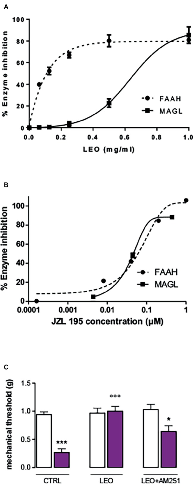 Inhibition of fatty acid amide hydrolase (FAAH) and monoacylglycerol lipase (MAGL) performed by lavender essential oil (A) and the reference inhibitor JZL 195 (B). (C) Attenuation of the anti-allodynic effect FIGURE 4of LEO (100 mg/kg p.o.) by the CB1 receptor antagonist AM251 (4 mg/kg i.p.). (One-way ANOVA, F(5,59) = 24.29, p < 0.0001); *p < 0.05, ***p < 0.001 in comparison with CTRL contralateral side; °°°p < 0.001 in comparison with CTRL ipsilateral side.
