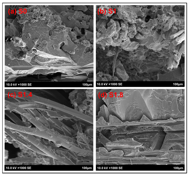 Cross-sectional analysis using SEM for the reference sample and AC NPs loaded composites.