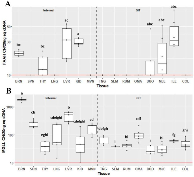 Gene expression of endocannabinoid degradation enzymes FAAH (A) and MGLL (B) in internal organ and gastrointestinal tissues (GIT). Data are presented as median transcript copy number (CN) per 20 ng of equivalent cDNA. Abbreviations BRN = brain, SPN = spleen, THY = thyroid, LNG = lung, LVR = liver, KID = kidney, MVN = mesenteric vein, TNG = tongue, SLM = sublingual mucosa, RUM = rumen, OMA = omasum, DUO = duodenum, MJE = mid-jejunum, ILE = ileum, COL = colon. Unique letters between tissues indicate significance (P < 0.05)