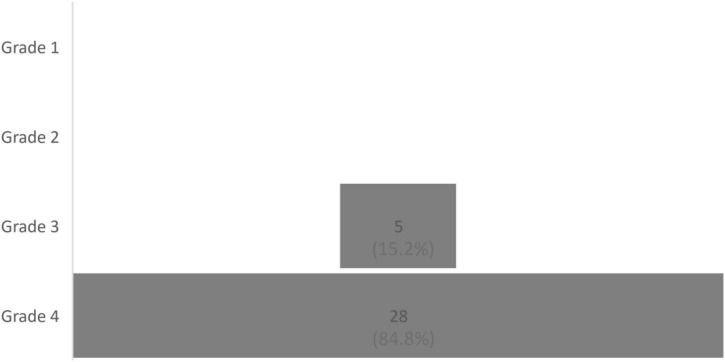 Distribution of patients according to the four grades of Von Korff et al.’s Chronic Pain Grade, N = 33.