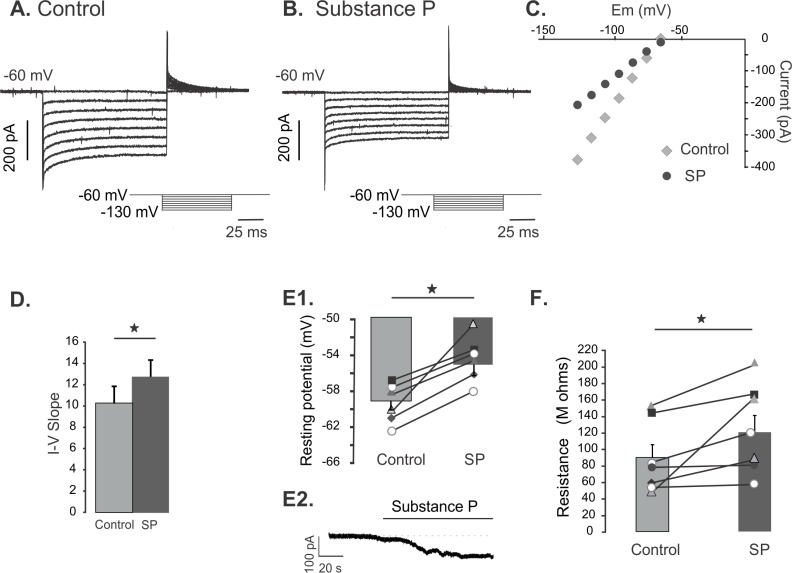 Substance P inhibits K+ background conductance.A. Current traces from hyperpolarizing voltage steps (-60 to -130 mV) applied in control conditions. B. Current traces from hyperpolarizing voltage steps applied to the same cell as in A during substance P bath application. C. The current-voltage relation (I-V) of the traces shown in A and B revealing a decrease in conductance with substance P (SP = substance P). D. Change of the I-V slope between control conditions and substance P application (n = 7 single star = p < 0.05). E. Resting membrane potentials recorded from cells in control and after substance P (1 μm) application. Bars show the average membrane potential in control and during substance P application. No current compensation was made in any case (n = 7, single star = p < 0.05). F. Input resistance in control and after substance P application computed from IV measurements under voltage clamp (n = 7, single star = p < 0.05). Bars show the average resistance in control and during substance P application.