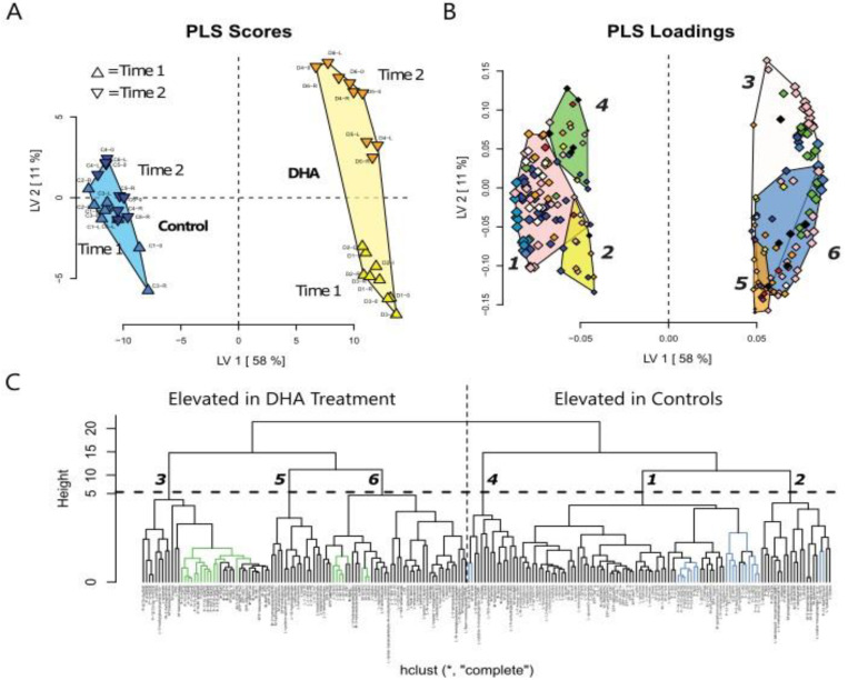 Panels (A–C). Mouse DHA feeding study Multivariate Analysis of measurements as PLS Scores, PLS Loadings, and hierarchical cluster analyses dendrogram. Partial Least Squares Discriminant analysis was performed using leave one out cross validation. PLS scores and PLS loadings. Of the 651 variables analyzed, 211 showed variable importance in projections (VIP) Scores > 1. These variables were isolated and subjected to a second PLS-DA analysis and the results are shown below. A hierarchical cluster analysis was performed on the correlation matrix of these variables and the cluster dendrogram was pruned to describe six data clusters, of which 3, 5, and 6 were higher in the DHA group and 4, 1, and 2 higher in the control group. On the following pages, the clusters are individually displayed, with VIP scores indicated for each variable at >1.75 (***), >1.5 (**), >1.25 (*), and >1 (◌). DHA = Mice fed the DHA diet.