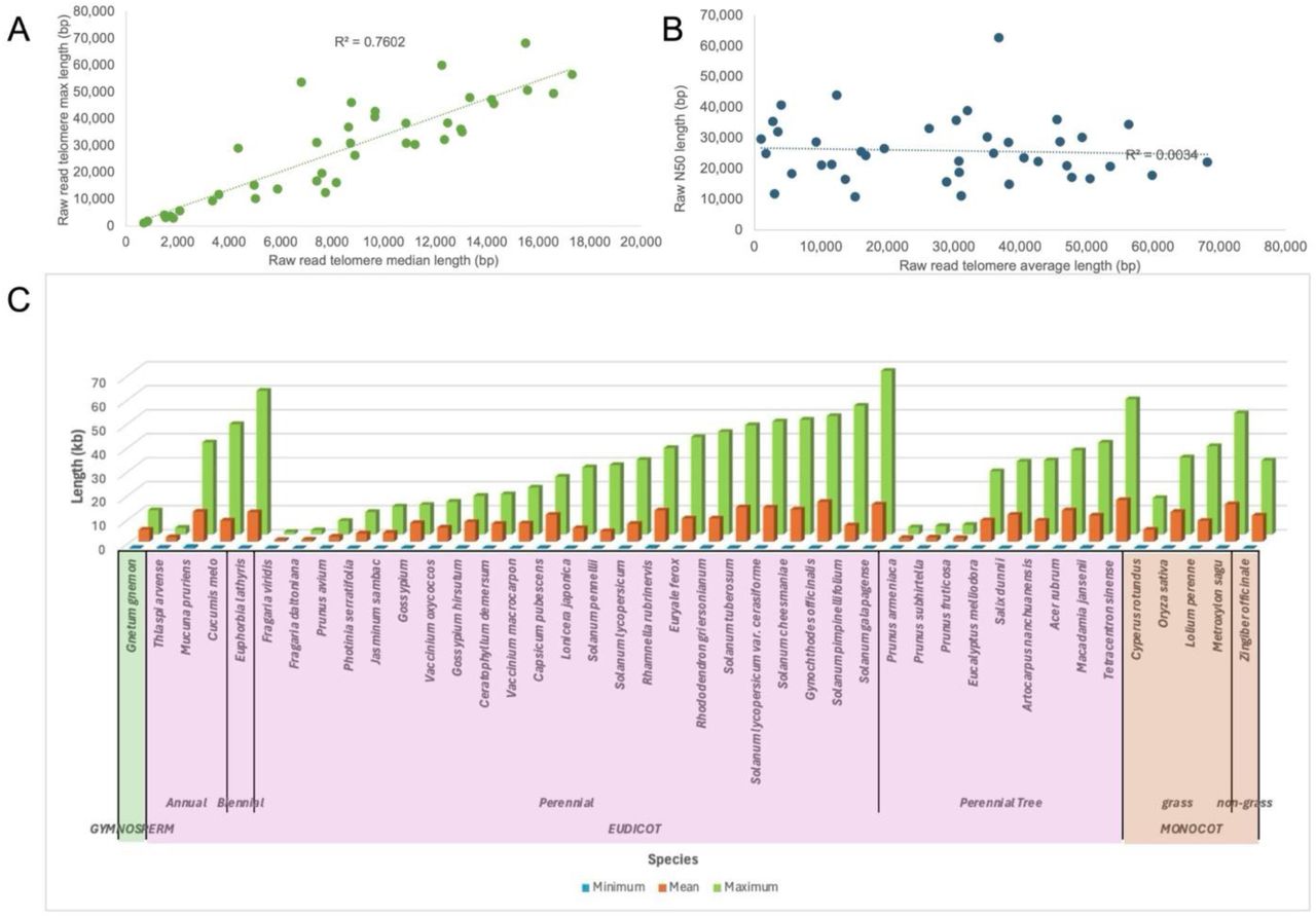TeloNum analysis of plant telomere lengths from Oxford Nanopore Technologies (ONT) raw sequence in SRA.A) Raw ONT reads maximum versus median length based on TeloNum prediction. B) Raw read N50 length versus the maximum predicted telomere length. C) Maximum telomere from raw ONT reads sorted by maximum telomere length (Supplemental Table S4).
