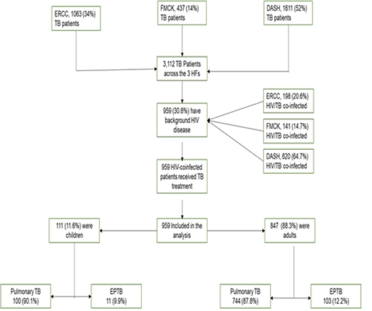 Data extraction flow diagram