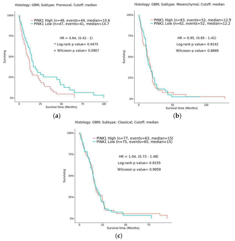 Kaplan–Meier estimator survival analysis of the glioblastoma subtype correlated with PINK1 expression: (a) proneural, (b) mesenchymal, and (c) classical. The blue line indicates low PINK1 expression, and the lilac line indicates high PINK1 expression. Statistical significance is indicated by * for the log-rank test p-value and + for the Wilcoxon test p-value. A p-value < 0.05 is considered statistically significant for both tests. The log-rank test assesses overall survival differences between groups, while the Wilcoxon test emphasizes early survival differences.
