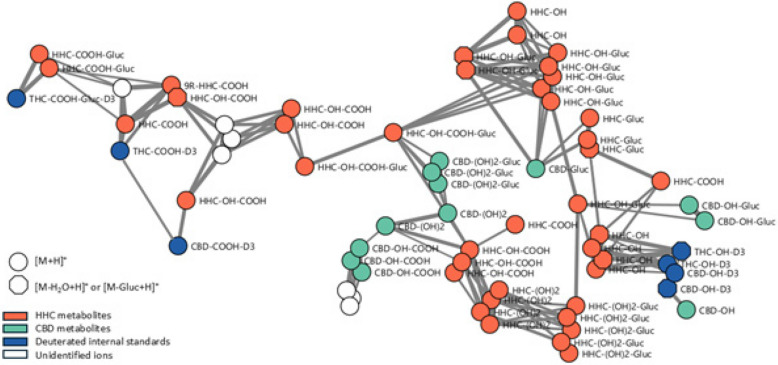 Molecular network of cannabinoids based on MS/MS data acquisition. A total of 35 HHC metabolites () and 12 CBD metabolites () were identified in the patient’s biological samples. The network was anchored by means of deuterated commercial standards of cannabinoids ()
