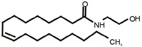 fnsyn-12-588660-t0003.jpg