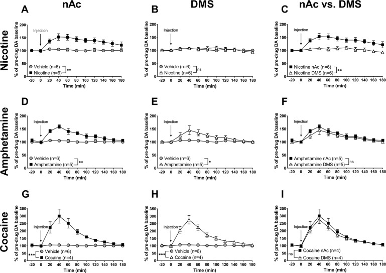 Differential DA release in the nAc and DMS by nicotine as compared to amphetamine and cocaine.A–C Systemic administration of nicotine (0.36 mg/kg s.c.) resulted in a significant elevation in extracellular DA in the nAc, but not in the DMS. D–F Amphetamine administration (0.5 mg/kg i.p.) produced a significant elevation of DA both in the nAc and in the DMS, with no significant difference between the two regions. G–I Cocaine (15 mg/kg i.p.) induced a robust DA elevation in the nAc and the DMS, with no significant difference in the DA response between the two regions. All values are presented as means ± SEM. n number of rats. *p < 0.05, **p < 0.005, ***p < 0.001.