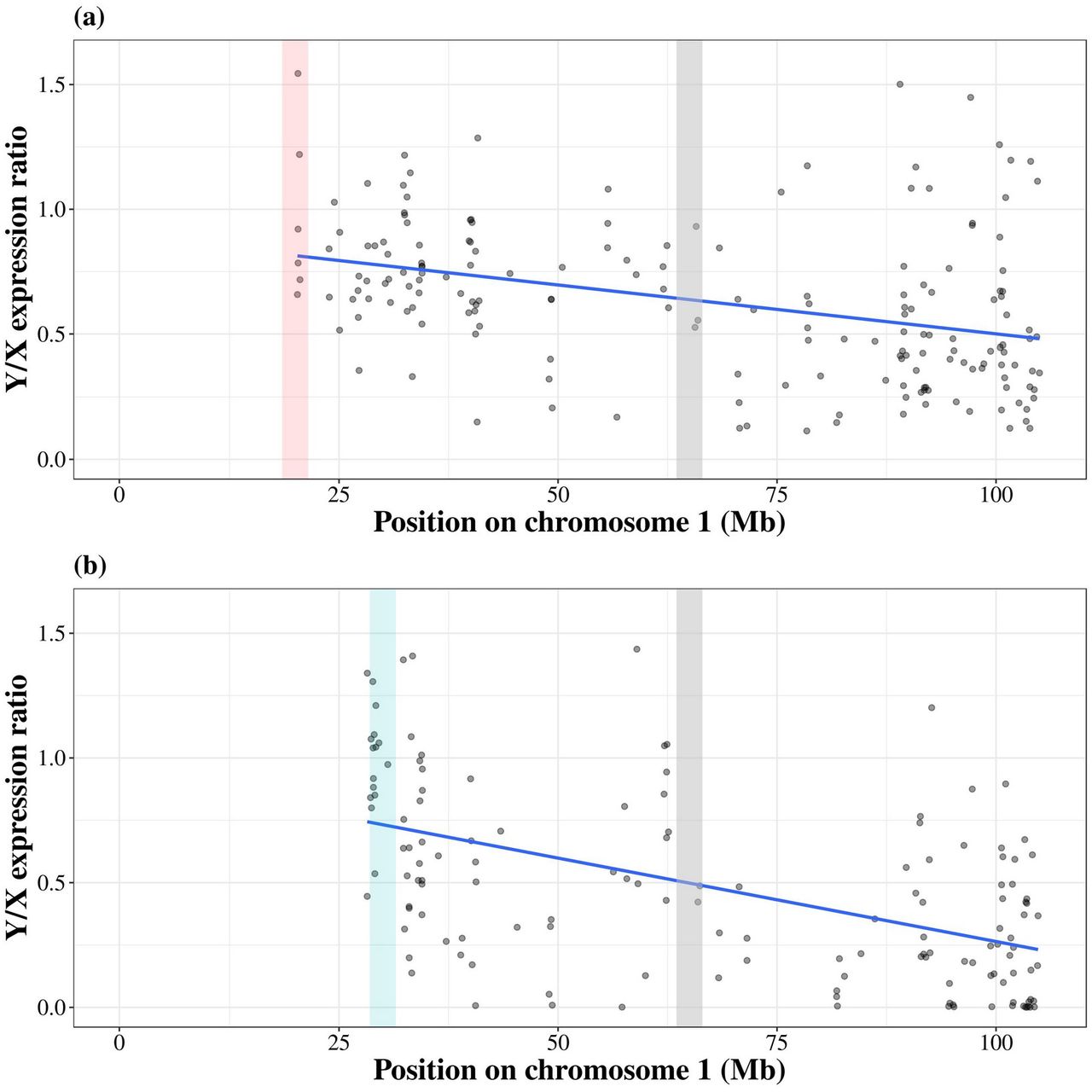 Y/X expression ratio along the X chromosome in H. lupulus (a), and C. sativa (b). The grey dots represent the Y/X expression ratio for each gene in the non-recombining region only. The blue line represents a linear regression. The vertical red bar represents the putative PAB in H. lupulus, the vertical blue bar represents the putative PAB in C. sativa, the vertical grey bar represents the putative boundary between the region that stopped recombining in the common ancestor and the region that stopped recombining independently in the two species.