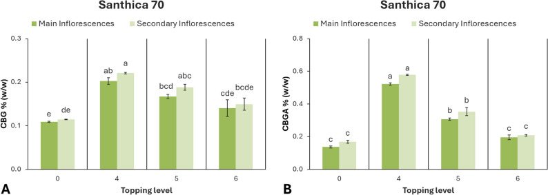 Cannabinoid content of hemp cultivar ‘Santhica 70’ under different topping levels