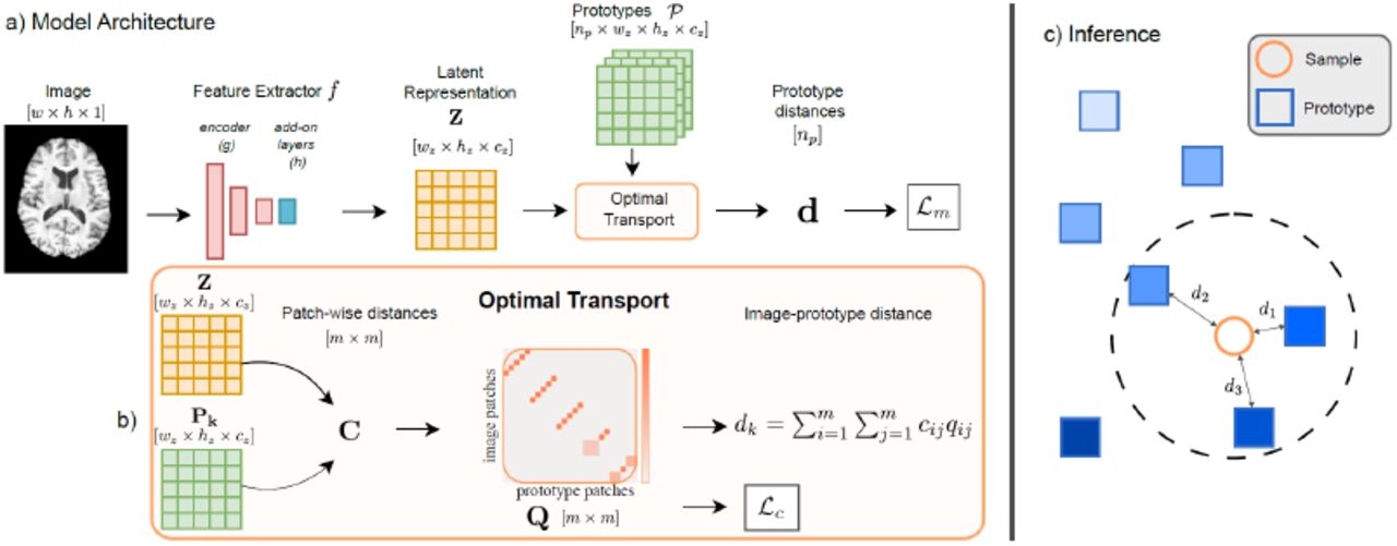 Overview of the ExPeRT model: (a) Model architecture extracts features from an image and compares them to prototypes using Optimal Transport (OT). (b) OT computes patch-wise distances to measure similarity between image and prototype. (c) During inference, predictions are based on prototypes within a defined distance radius [336]. This image is licensed under CC BY 4.0.