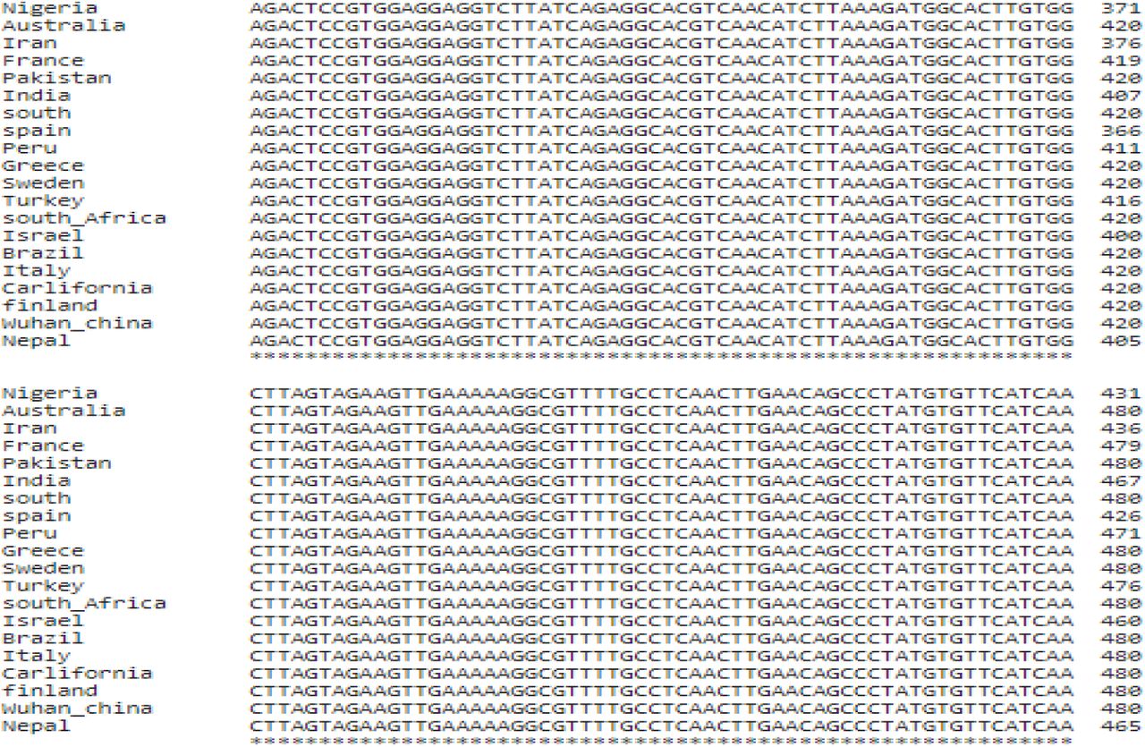 Multiple sequence alignment of the SARS-CoV-2 part genome from different geographical locations.NB: * conserved region