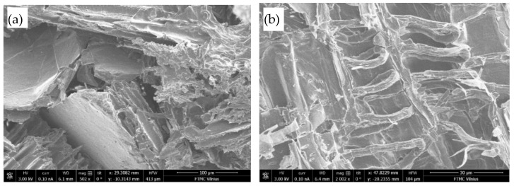View of engineered wood composite structure with flame retardant after flammability tests at magnifications of (a) ×500; (b) ×2000.