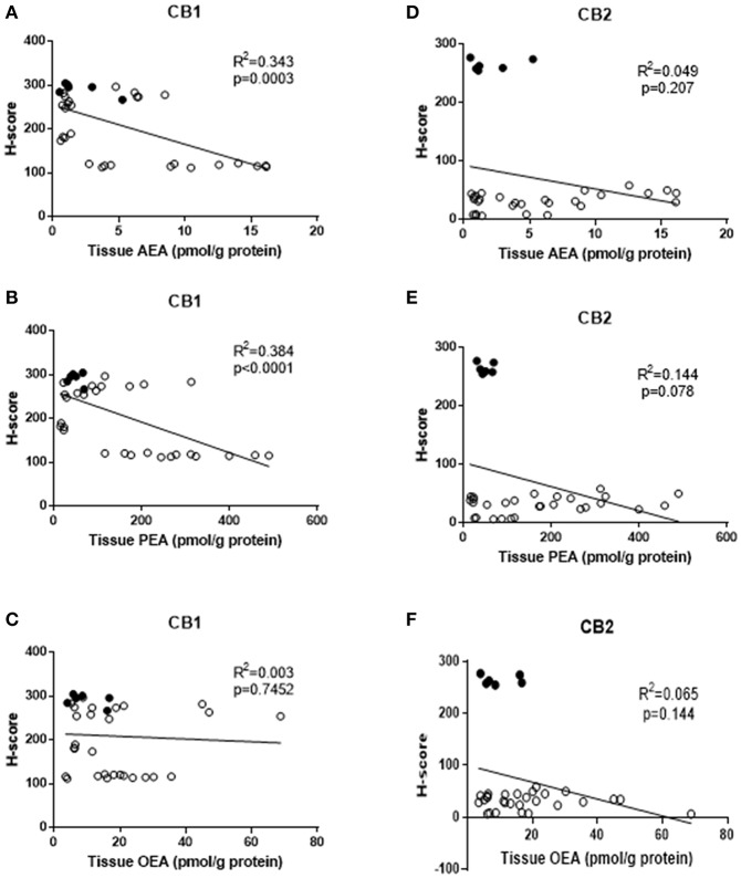 Correlation between tissue levels of AEA, PEA, and OEA with tissue protein expression levels. The relationships between tissue levels of AEA and CB1 or CB2 protein (A,D), tissue levels of PEA and CB1 and CB2 protein (B,E) and OEA and CB1 or CB2 protein (C,F) are shown. The data for atrophic controls (n = 6) are shown by filled circles and those for the EC patients (n = 28; 24 Type 1 and 4 type 2 EC) by open circles. The indicated R2 and p-values were obtained using Pearson correlation analysis.
