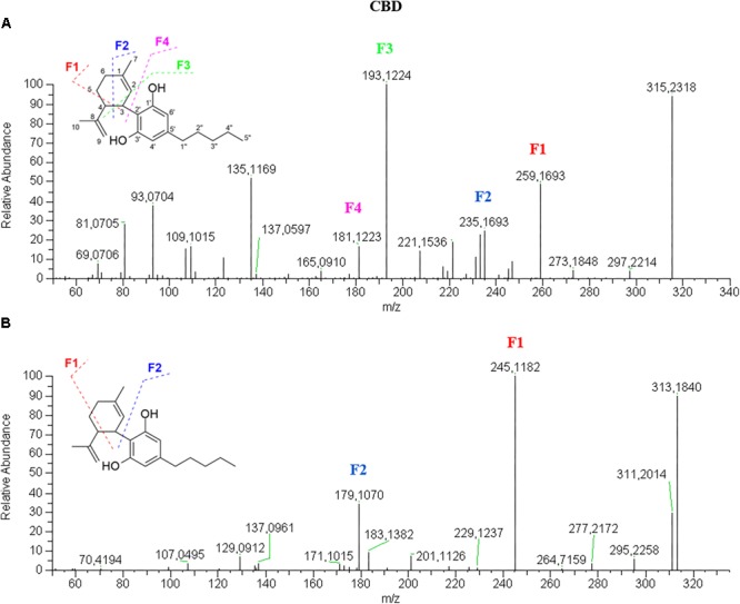HRMS fragmentation spectrum of cannabidiol (CBD) in positive (A) and negative (B) ionization mode.