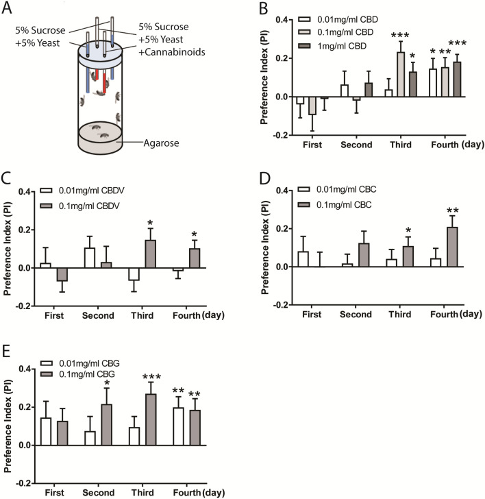 Flies developed a preference for phytocannabinoids. (A) Schematic diagram of the CAFE assay for examining cannabinoid preference. Eight flies in a single vial were presented with four capillaries in which two contained cannabinoids and the other two with normal liquid food for four consecutive days. (B–E) Flies exhibited and developed preference for phytocannabinoids in a time-dependent manner. (B) Delayed preference for 0.1 mg/ml and 1 mg/ml CBD was detected on day 3 and day 4. A significant increase in preference for food containing 0.01 mg/ml CBD was observed on day 4. Flies displayed preference for food containing 0.1 mg/ml CBDV (C) and CBC (D) on day 3 and day 4. Similar to CBD, the preference for CBG-containing liquid food was significantly increased from day 2 to day 4 (n = 17–28 vials/group). Data are represented as mean ± S.E.M. One-sample t test was applied to determine statistical significance. *p < 0.05, **p < 0.01, and ***p < 0.001.