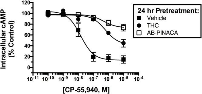 Comparison of CB1R desensitization produced by chronic SCB treatment. CHO-hCB1 cells were exposed to vehicle (filled squares) or a receptor saturating concentration of Δ9-THC (1 μM, filled circles) or AB-PINACA (1 μM, open squares) for 24 h. Following chronic exposure, cells were washed extensively to remove residual drug and the ability of increasing concentrations (10-10 to 10-5) CP-55,940 to modulate adenylyl cyclase activity was examined. Data points presented are the mean ± SEM of basal intracellular cAMP in the presence of CP-55,940 following chronic treatment with the respective vehicle or drug. Curve fitting of concentration-effect curves via non-linear regression was employed to determine the IC50 (measure of potency) and Imax (measure of efficacy) for adenylyl cyclase modulation by CP-55,940 following chronic exposure to vehicle or each agonist. The mean ± SEM and statistical comparison of IC50 and Imax values calculated for each SCB are presented and discussed in the Results section.
