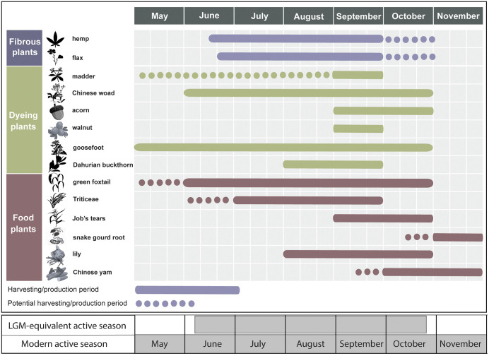 Estimated seasonal activities of fibrous, dyeing, and food plants based on Holocene data and LGM-equivalent reconstructions.Upper: Overlapping ranges of harvesting and production periods for the three plant categories occurring between June and October. Lower: Comparison of modern (May–November) and estimated LGM-equivalent (early June–late October) active seasons, calculated using a −7 °C temperature offset for Shanxi (shaded areas).
