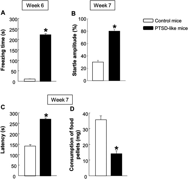 Evaluation of the basal behavioral disturbances induced by the animal model of PTSD at weeks 6 and 7. Analysis of the freezing time (s) by the fear conditioning (FC) paradigm (A), the startle amplitude (B) by the acoustic startle response (ASR), and of the latency time (C) and food pellets consumption (D) by the novelty suppressed feeding test (NSFT). Columns represent the mean and vertical lines ± SEM. *, Values from PTSD-like mice that are significantly different from control mice (Student’s t-test, p < 0.001). Mice exposed to the PTSD-like model: N = 8; control mice: N = 8.