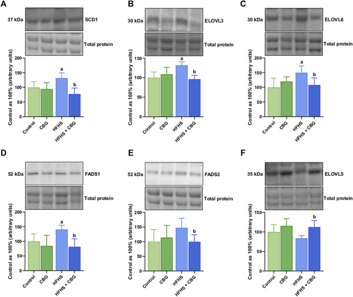 The total expression of proteins involved in fatty acid synthesis and metabolism: stearoyl-Coenzyme A desaturase 1 (SCD1) (A), fatty acid desaturase 1 and 2 (FADS1 and FADS2) (D,E) as well as fatty acid elongase 3, 5 and 6 (ELOVL3, ELOVL5, and ELOVL6) (B,F,C) in the control group (rats fed a standard chow) and high-fat-high-sucrose diet (HFHS) group after 2-week cannabigerol (CBG) administration in the red gastrocnemius muscle. The total expressions of the abovementioned proteins are presented as percentage differences compared to the control group which was set as 100%. The data are expressed as mean values ±SD and are based on six independent determinations in each group (n = 6); ap < 0.05 indicates a significant difference: the control group vs the examined group; bp < 0.05 indicates a significant difference: HFHS group vs HFHS + CBG group.