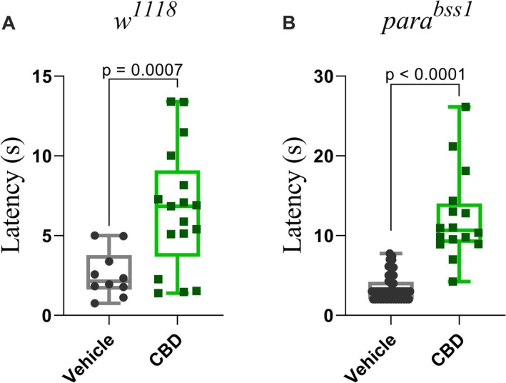 Cannabidiol (CBD) increases chemical nociception latency in both w 1118 and parabss1 larvae. (A) w 1118 third‐instar larvae treated with CBD for 1 h showed a significant increase in latency of nociceptive responses compared to vehicle controls (p = 0.0007; unpaired t‐test). (B) parabss1 larvae treated with CBD showed a robust increase in response latency (p < 0.0001; Mann Whitney test). Each box represents the interquartile range, with the horizontal line indicating the mean. The whiskers represent the minimum and maximum values, respectively. Data are presented as individual data points (n ≥ 10 larvae per group).