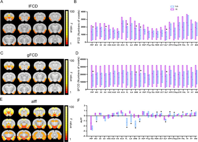 Comparison of functional connectivity density (FCD) and amplitude of low-frequency fluctuations (ALFF) between Rimonabant and vehicle administration in mice at 60 min. Significant brain regions (ANOVA drug factor, p < 0.05, SGoF corrected) have been colored based on that region’s F value and superimposed over the T2 template image. Twelve slices are shown from rostral to caudal, top of the brain upward. Results are shown for local FCD (lFCD) (A), global FCD (gFCD) (C), and ALFF (E). Group comparison of lFCD (B), gFCD (D), and ALFF (F) in individual brain regions. Data are mean ± s.e.m. (N = 8 for the Rimonabant group and N = 8 for the vehicle group). *Indicates p ≤ 0.05 corrected with SGoF. Region of interest names are in Table S1.