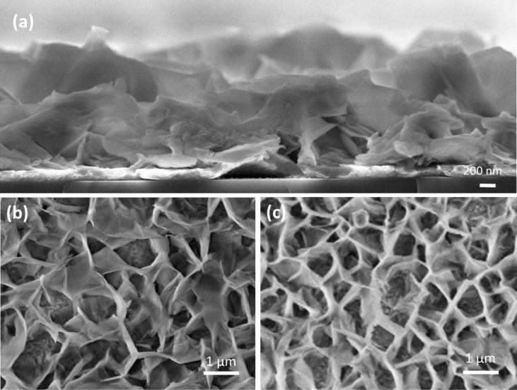 SEM images of ZnO NWs (a) cross-section view of ZnO NWs (b) before immersion in dye and (c) after immersion in mallow dye.