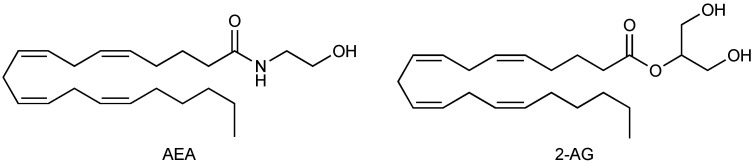 Chemical structures of AEA and 2-AG.