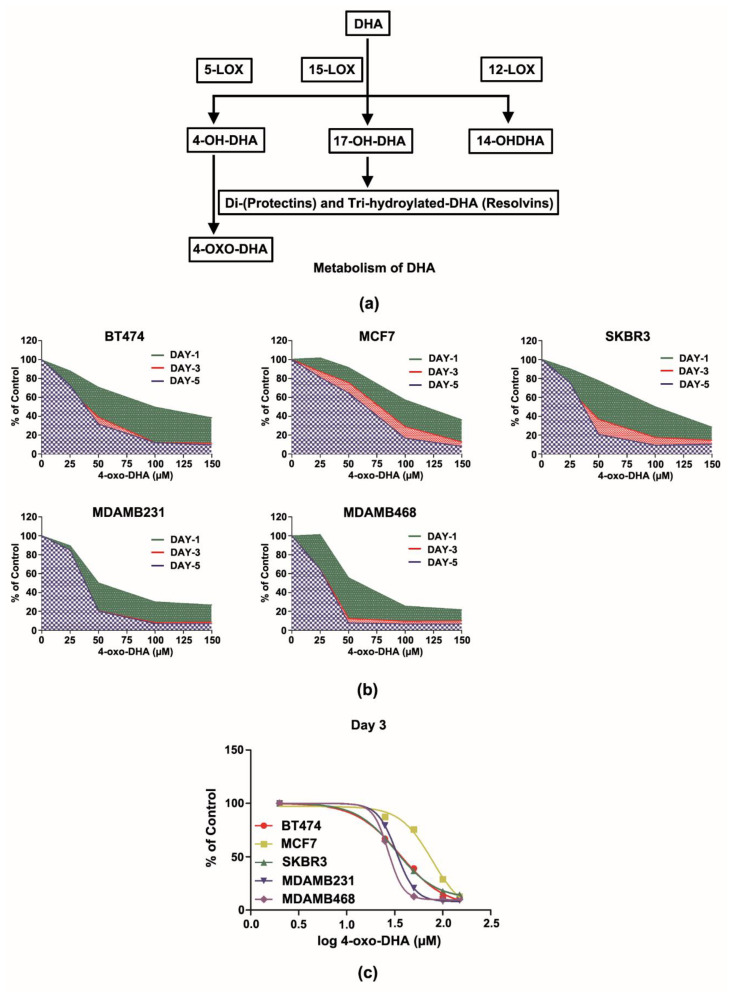 Metabolism of docosahexaenoic acid (DHA) and the dose- and time-dependent effects of 4-oxo-DHA on the growth of five subtype human breast cancer cells (BT474, MCF7, SKBR3, MDAMB231, and MDAMB468) graphed using an area under the curve (AUC) or the half-maximal inhibitory concentration (IC50) as a percent of untreated control. (a) Metabolism of DHA; (b) an area under the curve analysis; (c) the half-maximal inhibitory concentration for 3 days of treatment.