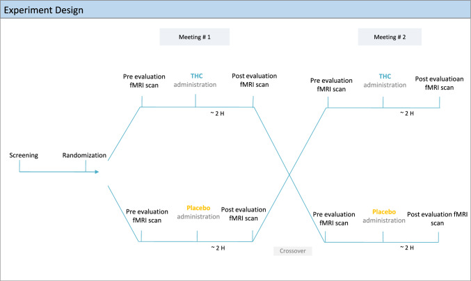 Experiment design: Twelve patients with chronic lumbar radicular pain participated in two meetings of a randomized, double-blind, counterbalanced, placebo-controlled trial. In each meeting, they received a sublingual dose of either 0.2 mg/kg THC oil or placebo. Patients underwent clinical evaluation and an fMRI scan pre and post drug/placebo administration. fMRI functional magnetic resonance imaging, THC δ-9-tetrahydrocannabinol