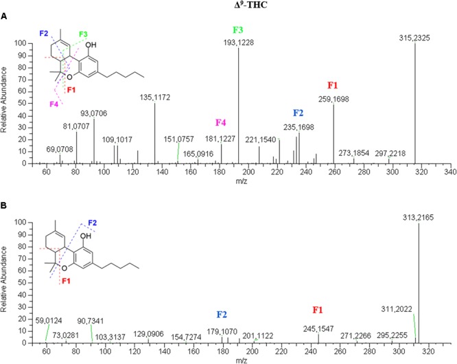 HRMS fragmentation spectrum of Δ9-tetrahydrocannabinol (Δ9-THC or THC) in positive (A) and negative (B) ionization mode.