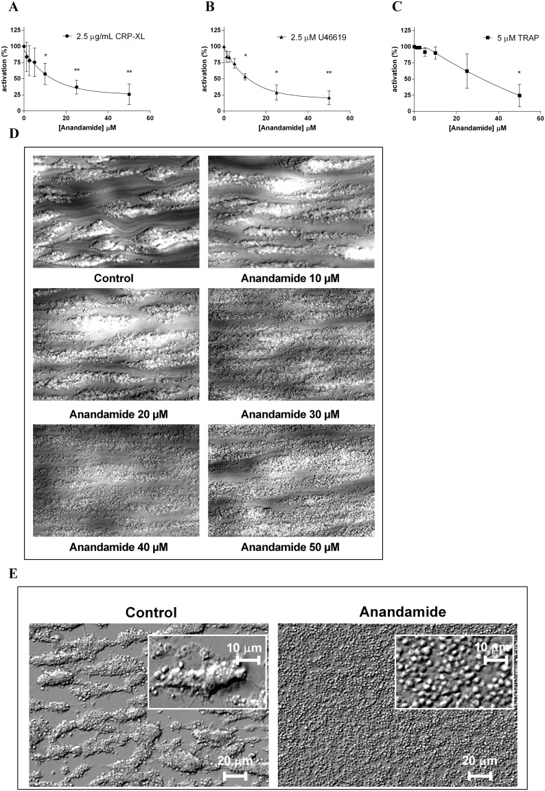 Anandamide inhibits platelet α-granule secretion and limits platelet aggregate formation.Platelet α-granule release was studied by flow cytometric analysis of platelet P-selectin externalization. Washed platelets from healthy human donors were pre-exposed to a concentration series of anandamide for 40 min at 37°C and subsequently stimulated with 2.5 µg/mL CRP-XL (A), 2.5 µM U46619 (B) or 5 µM TRAP (C). Data were normalized to the agonist-induced P-selectin expression of vehicle-pretreated control platelets. Reconstituted blood, which was preincubated with anandamide, was perfused over a collagen-coated surface at a shear rate of 1600 s−1 and snapshots were taken after 5 minutes (D). Subsequently, cover slips were rinsed with buffer for 1 minute to investigate aggregate stability (E). The left panel shows vehicle control, the right panel indicates a perfusion in the presence of 50 µM anandamide. Data are shown as mean ± SD and represent 3 or more individual experiments.