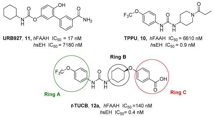 Chemical structures of the sEH inhibitors TPPU (10), FAAH inhibitor URB927 (11), t-TUCB (12a) and marked rings A, B, and C in the t-TUCB skeleton.