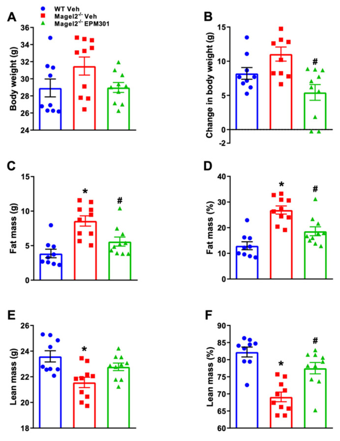EPM301 prevents weight gain and adiposity in STD-fed GIO Magel2null mice. Daily chronic treatment of STD-fed Magel2null mice with EPM301 (20 mg/kg/day, i.p.) for 18 weeks prevented an increase in body weight (A,B) and fat mass (C,D). The absolute value of lean mass was not affected by EPM301 (E), but the lean percentage was increased back to the norm (F). Data represent the mean ± SEM from 9–10 mice per group. * p < 0.05 relative to WT-Veh; # p < 0.05 relative to Magel2null-Veh.