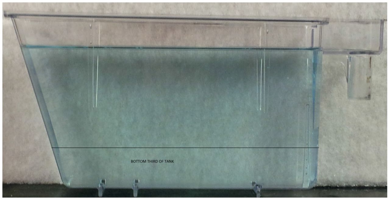 Tank used for novel tank diving assay.