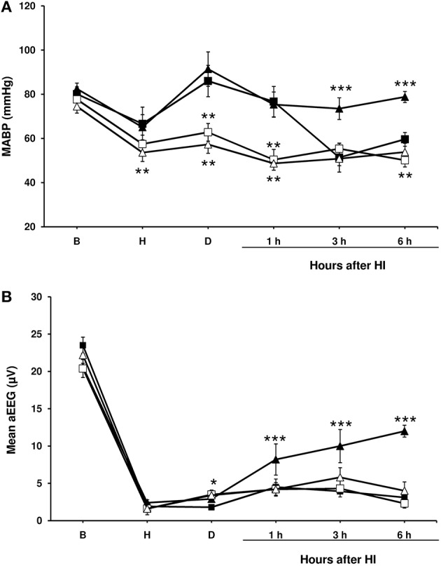 Mean arterial blood pressure and amplitude-integrated electroencephalography (aEEG) in experimental groups of piglets. Line draws represent the mean arterial blood pressure (A) and the mean aEEG (B), obtained from 1- to 2-day-old piglets after hypoxic-ischemic insult, treated with normothermia (shaded symbol) or hypothermia (empty symbol) and administered with either vehicle (square) or cannabidiol (triangle). Data are represented as mean ± SEM. (*) P < 0.05 vs. NV group by Kruskall-Wallis one-factorial analysis of variance; (**) P < 0.05 vs. both normothermic groups (NV and NC) by Kruskall-Wallis one-factorial analysis of variance; (***) P < 0.05 vs. all groups by Kruskall-Wallis one-factorial analysis of variance.