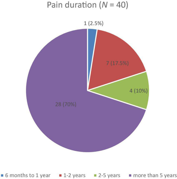 Reported duration of pain among patients with chronic pain on a four-point Likert scale with durations of 6 months to 1 year, 1–2 years, 2–5 years, and more than 5 years.