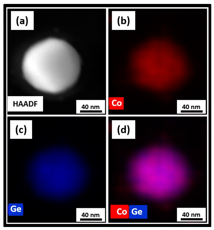 STEM studies on the annealed Co2Ge NPs: (a) A HAADF image and the corresponding EDS elemental color mappings showing; (b) Co; (c) Ge; and (d) Co and Ge distributions.