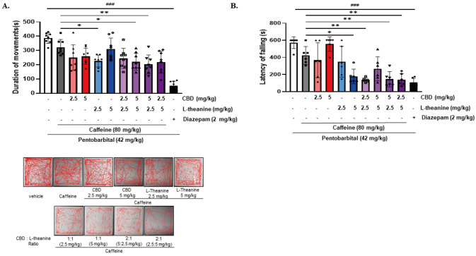 Effects of CBD, L-theanine, and their combination on locomotor activity and motor coordination in a caffeine-induced sleep disruption model. Mice were administered caffeine (80 mg/kg, i.p.), and after 30 min, they received CBD, L-theanine, or a combination of both at 1:1, 1:2, or 2:1 ratio. Diazepam (2 mg/kg, p.o.) was used as a positive control. (A) Duration of movements (seconds) in the open field test (OFT). Locomotor activity was recorded for 12 min, and representative movement tracks (in red) are shown below for each group. (B) Latency of fall observation in the Rotarod test. Data were analyzed using one-way ANOVA followed by Tukey’s multiple comparisons. *p<0.05, **p<0.01, compared to the caffeine-treated group. ###p<0.001 vs. control group.