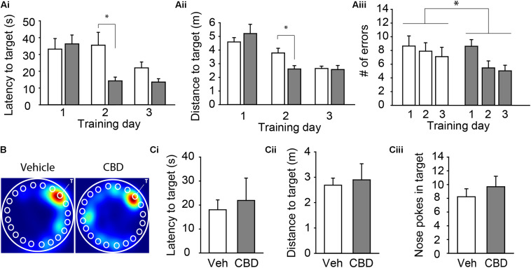 Adolescent CBD exposure improves the rate of learning of a spatial memory task. Summary bar charts showing the mean latency (Ai) and mean distance traveled (Aii) to the escape box as well as the mean number of errors (Aiii) on each day of acquisition. CBD-treated mice had shorter latency to target (14.29 ± 4.85 s) and distance to target (2.61 ± 0.38 m) on day 2 compared to vehicle treated mice (38.09 ± 5.05 s; 3.78 ± 0.39 m). CBD treated mice made fewer errors across all acquisition days (6.37 ± 0.59 errors) than vehicle-treated mice (7.88 ± 0.77 errors). (B) Representative heat maps in the Barnes maze on the probe day of subjects administered vehicle (left) and CBD (right). The white “T” indicates target hole. Summary bar charts showing that there was no difference in the latency to the target hole (Ci), distance to the target hole (Cii), or number of nose pokes into the target hole (Ciii) on the probe day between the vehicle (18.04 ± 4.12 s; 2.69 ± 0.28 m; 8.23 ± 1.16 nose pokes) and CBD (21.93 ± 0.93 s; 2.90 ± 0.64 m; 9.69 ± 1.52 nose pokes) treated groups. ∗indicates P < 0.05 by Tukey’s HSD post hoc comparisons.