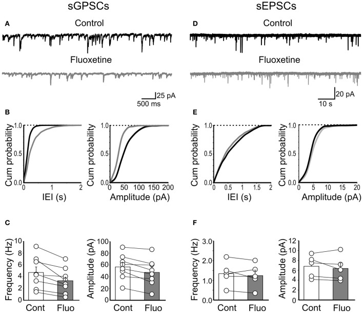 Fluoxetine reduced the frequency and amplitude of spontaneous action potential-dependent GPSCs but did not affect AMPA-mediated EPSCs. (A) Continuous voltage clamp recordings of sGPSCs detected at −60 mV in the presence of DNQX (20 μM) and D-APV (10 μM), before and during application of fluoxetine (20 μM). (B) Cumulative distribution plots of inter event interval (IEI) and amplitude for the cell shown in (A) before (black) and during (grey) application of fluoxetine. (C) Summary plots of the mean frequency (n = 8; p = 0.007) and amplitude (n = 8; p = 0.004) of all cells tested (±SEM). (D–F) As in (A–C) but for sEPSCs. No significant differences in frequency (n = 5; p = 0.4) or amplitude (n = 5; p = 0.38) were detected.