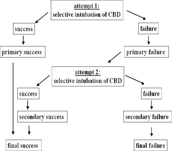 Flow diagram to describe the definitions “primary/secondary success/failure”, “success/failure” and “final success/failure”.