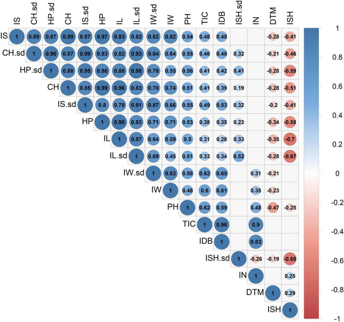 Correlation coefficient matrix for 14 inflorescences’ attributes and 3 physiological parameters. The correlation strength and direction are indicated by colors and numeric (coefficient) values. Blank cells indicate statistically insignificant correlations (P > 0.05). Abbreviations: Inflorescence Size (IS), Inflorescence Size standard deviation (IS.sd), Convex Hull (CH), Convex Hull standard deviation (CH.sd), Hull Perimeter (HP), Hull Perimeter standard deviation (HP.sd), Inflorescence Length (IL), Inflorescence Length standard deviation (IL.sd), Inflorescence Width (IW), Inflorescence Width standard deviation (IW.sd), Total Inflorescence Coverage (TIC), Inflorescence Number (IN), Inflorescence Shape (ISH), Inflorescence Shape standard deviation (ISH.sd), Inflorescence Dry Biomass (IDB), Plant Height on harvest day (PH), Days To Maturation (DTM).